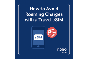 How to Avoid Roaming Charges with a Travel eSIM